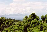 Blick von den H&auml;ngen des Pico nach Sao Jorge