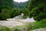 Furnas