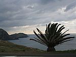 Die Ostspitze von Madeira